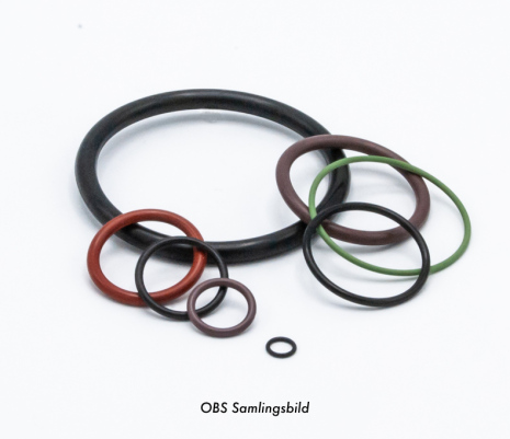 O-ring 60x1,5 FPM